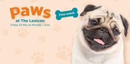 Paws at The Lexicon 22 May-1June