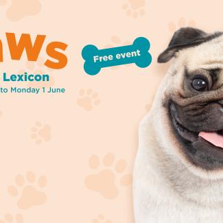 Paws at The Lexicon 22 May-1June